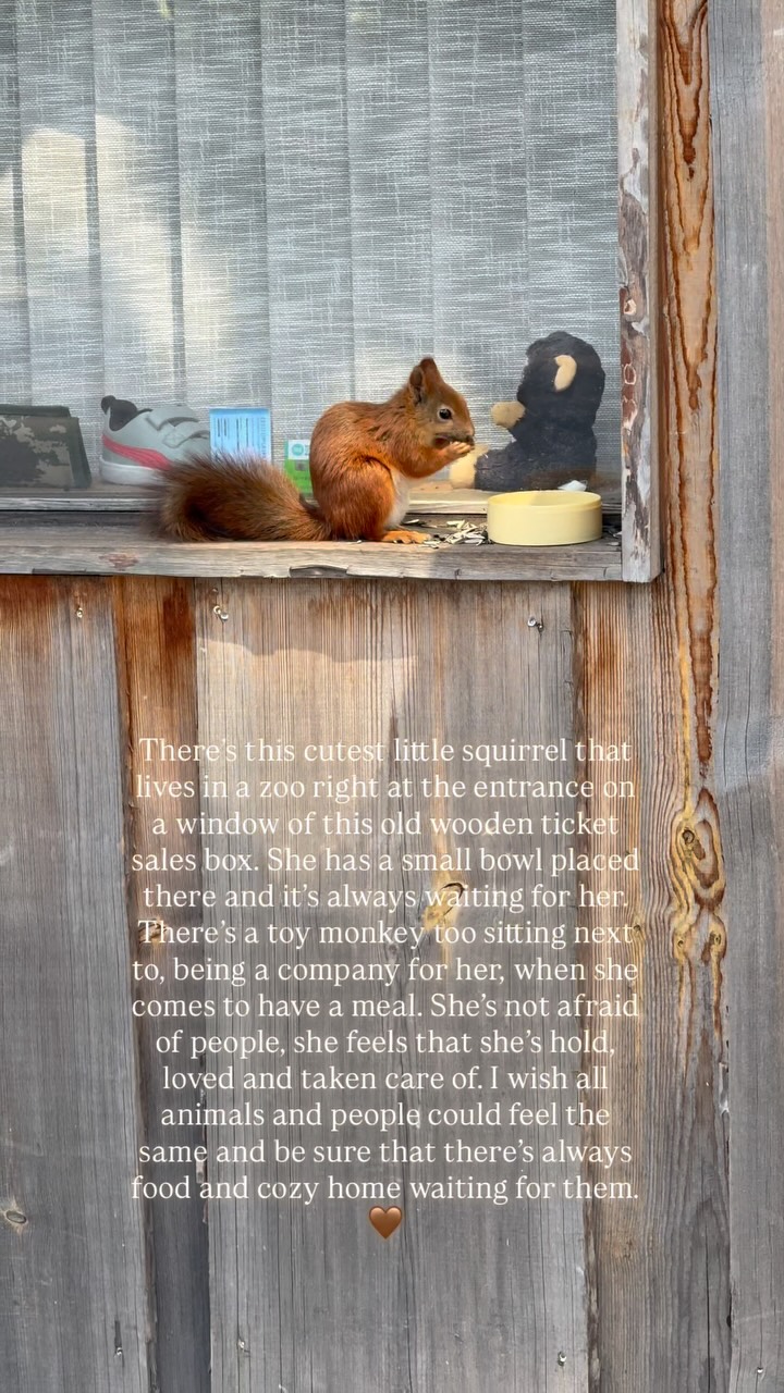 I just got a bit emotional 🥹🤍 #peace #love #safety #kindness #care